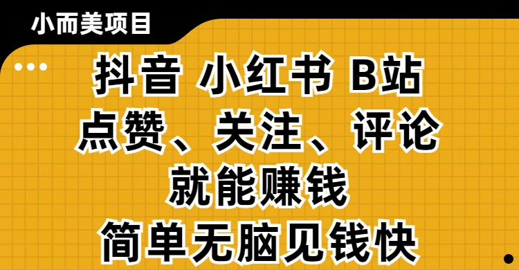 小而美的项目，抖音、小红书、B站视频点赞、关注、评论就能赚钱，简单无脑立见收益!妥妥的零撸项目 第1张