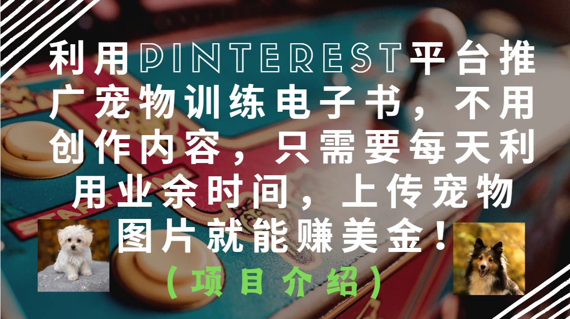 利用Pinterest平台推广宠物训练电子书，不用创作内容，只需要每天利用业余时间，上传宠物图片就能赚美金！
